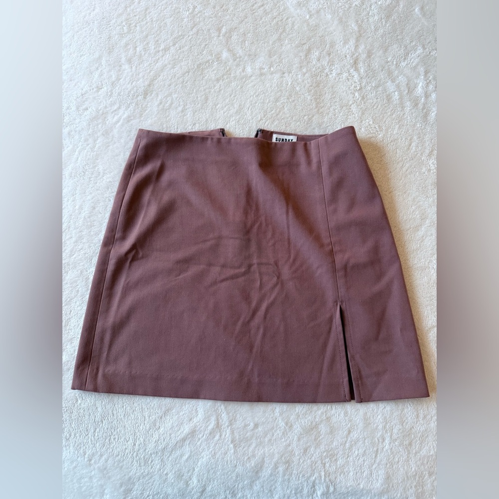 Aritzia- Sunday Best Rose mini Skirt